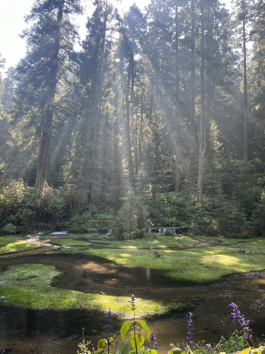 Un día eres joven y al otro despiertas con unas ganas inexplicables de subir cerros un domingo a las 7 de la mañana.
