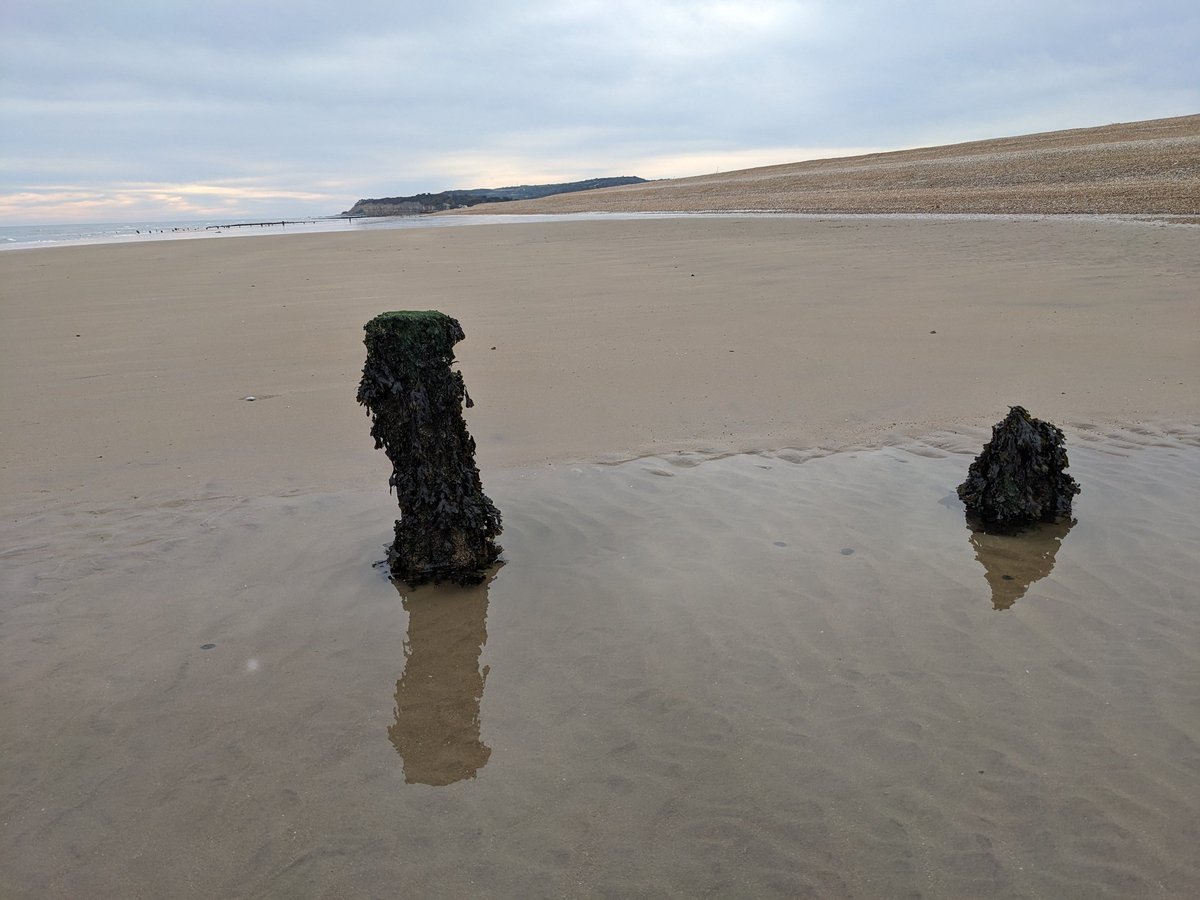 Pitchedup24's tweet image. Another wild camp this weekend. Hastings country park and Pett Level beach. #wildcamping #camping