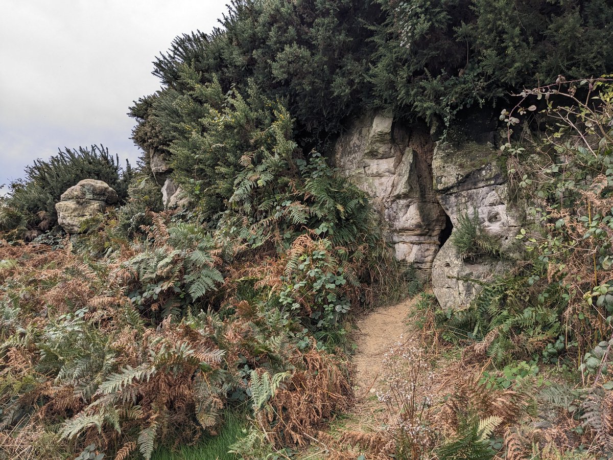 Pitchedup24's tweet image. Another wild camp this weekend. Hastings country park and Pett Level beach. #wildcamping #camping