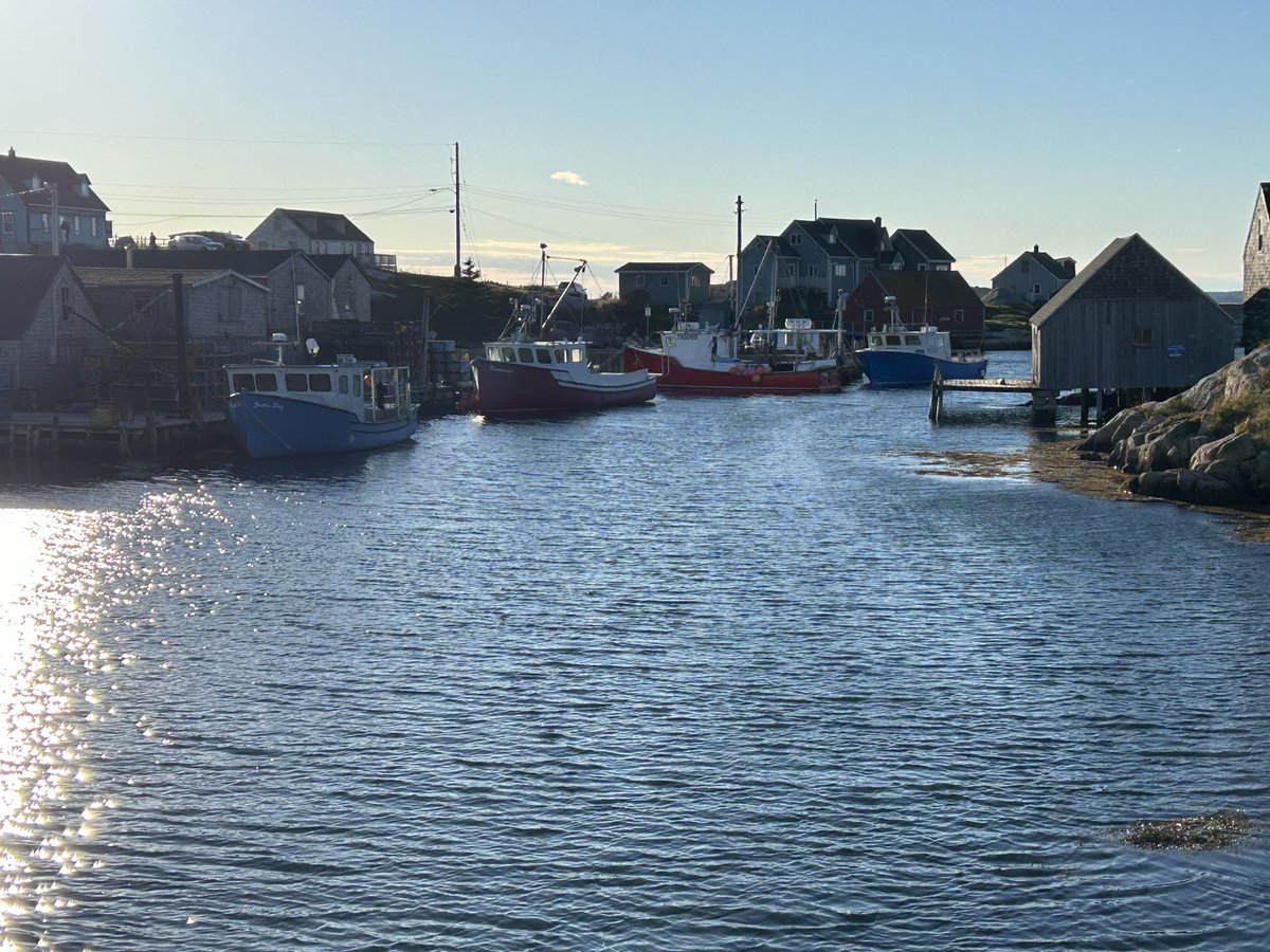 Dave MacDonald 🇨🇦🇺🇦🇬🇱 tweet media