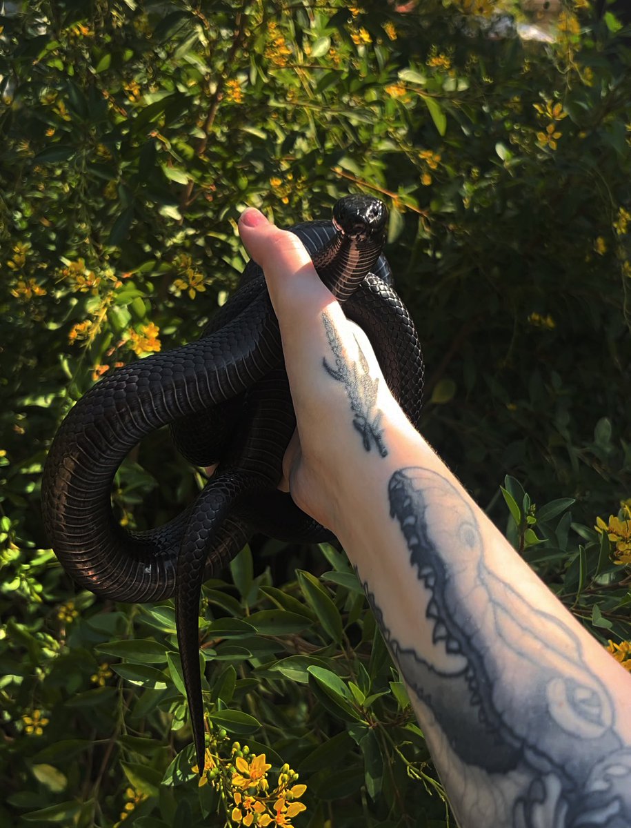 same time, same place. 7 years later 🖤