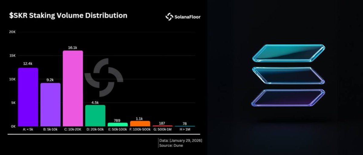 Believe it or not, SKR shows strong conviction onchain.

Nearly 70% of supply is staked, with 34,000+ wallets locking 100% of their holdings.

Gotta give credit where it's due.

Team cooked imo.
