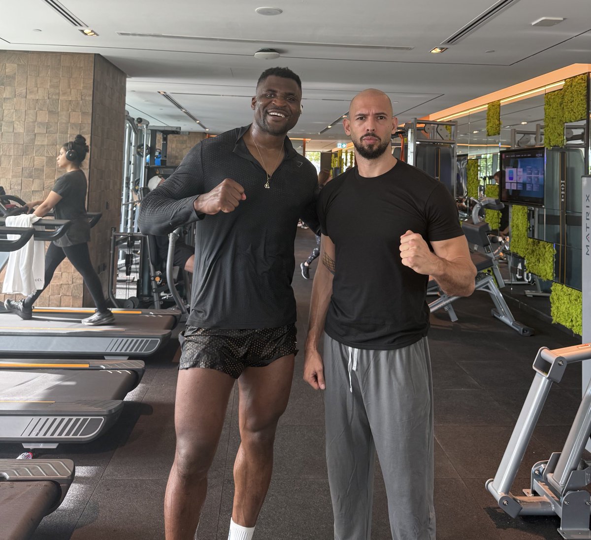 Cobratate's tweet image. GM