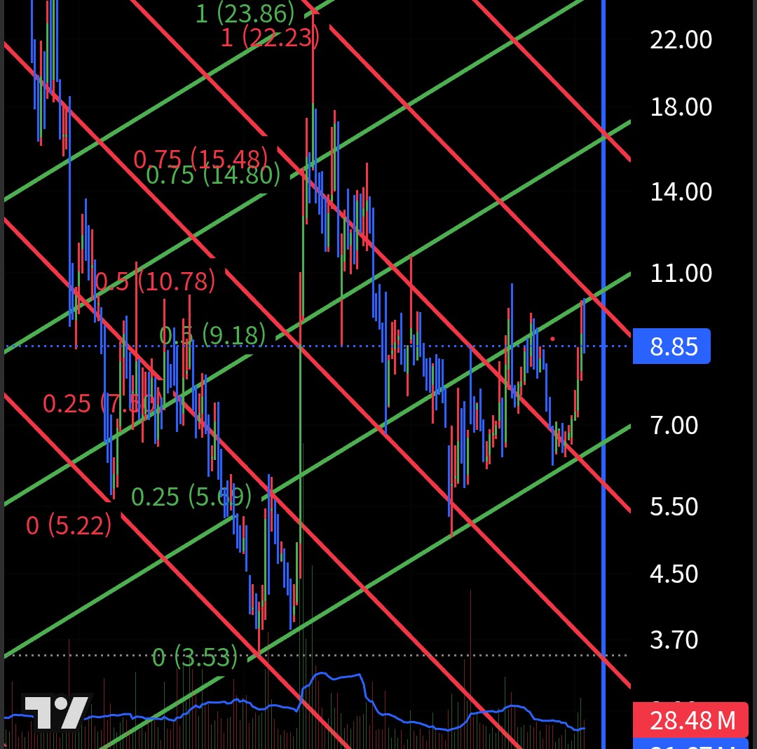 illusionwolf tweet media