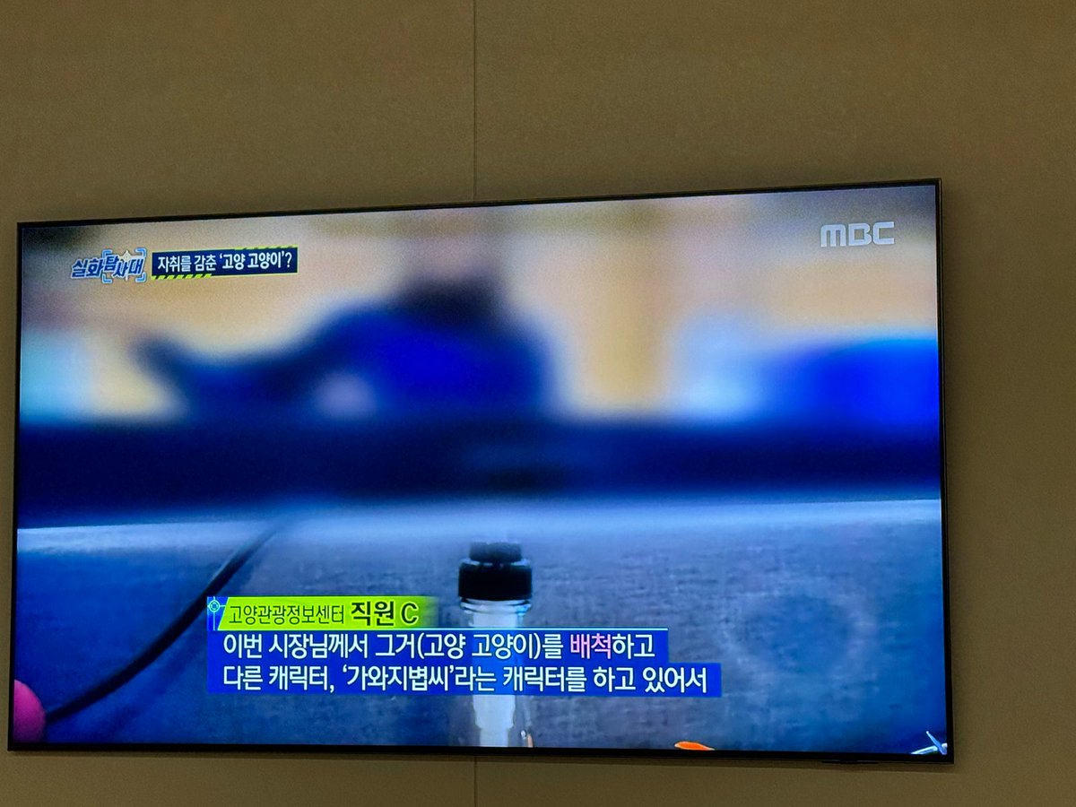 이분이 대한민국 인기 1위 캐릭터를 본인 kibun으로 날려버림...