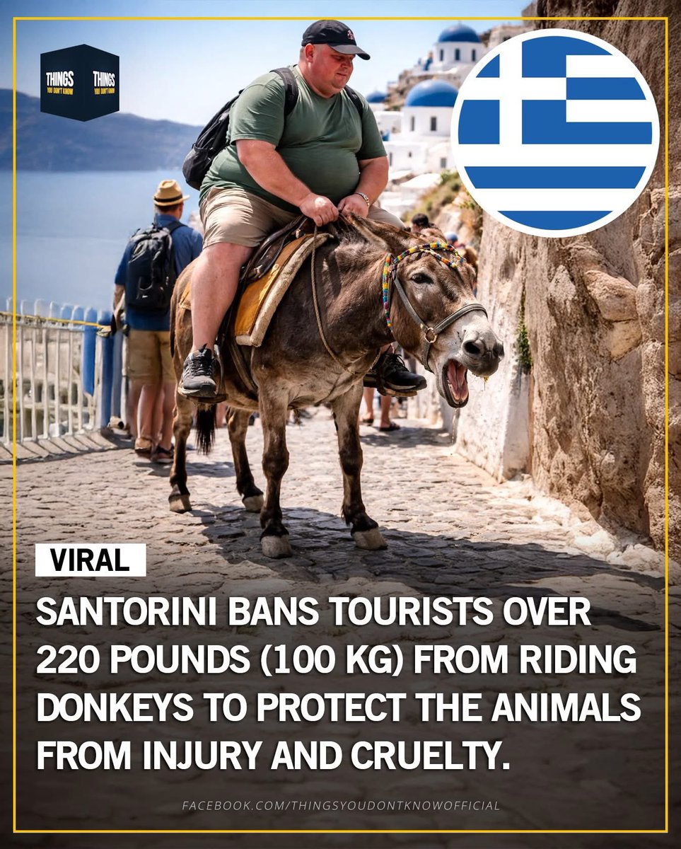 🐴⚠️ Santorini draws the line — for the sake of the animals.

On Santorini, tourists who weigh more than 220 pounds (100 kg) are not allowed to ride donkeys.
The rule was introduced to protect the animals from excessive strain, injuries, and cruelty, after years of criticism from