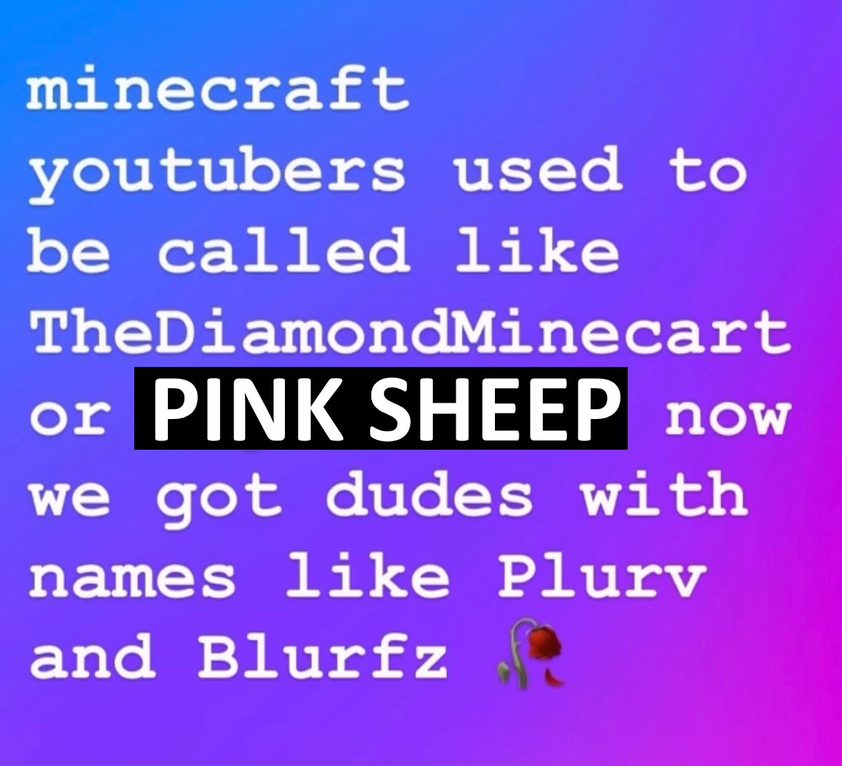 Pink Sheep tweet media