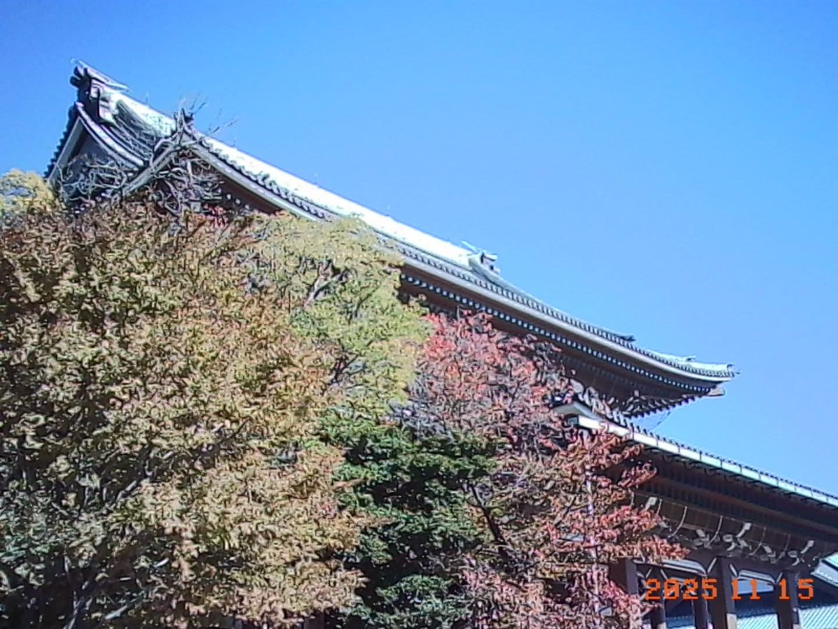 lemonsha's tweet image. レモン社名古屋栄店です🍋
当店でも #CHARMERA 入荷しております📷
先日撮影した写真も載せておきます😁
こんな感じの写真が好き！というかたは是非✨
(44歳の私にはとても懐かしい雰囲気ですが、若いお客様には新鮮にうつるんだろうなぁ～)😌