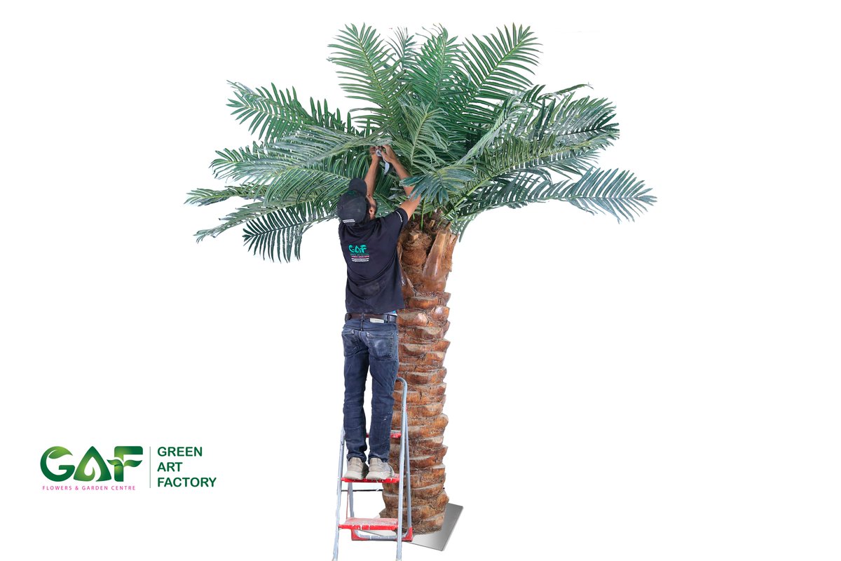 Greenmosswall's tweet image. 🌿 Different Kinds of Artificial Trees — Now Available for Your Space 🌿

🌐 greenartfactory.ae
☎ Voice/WhatsApp: +971 56 95 88 315 
📧 info@greenartfactory.com

#ArtificialTrees #CustomTreeDecor #TreeDesign #InteriorDecor #LuxurySpaces  #LowMaintenance #GreenArtFactory