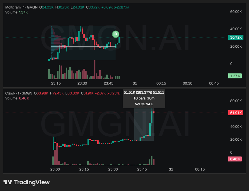 gotta be quicker than that!
$Clawk #Clawk $Moltgram #moltgram