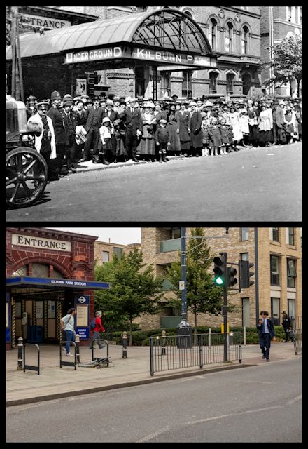 Tetramesh tweet media