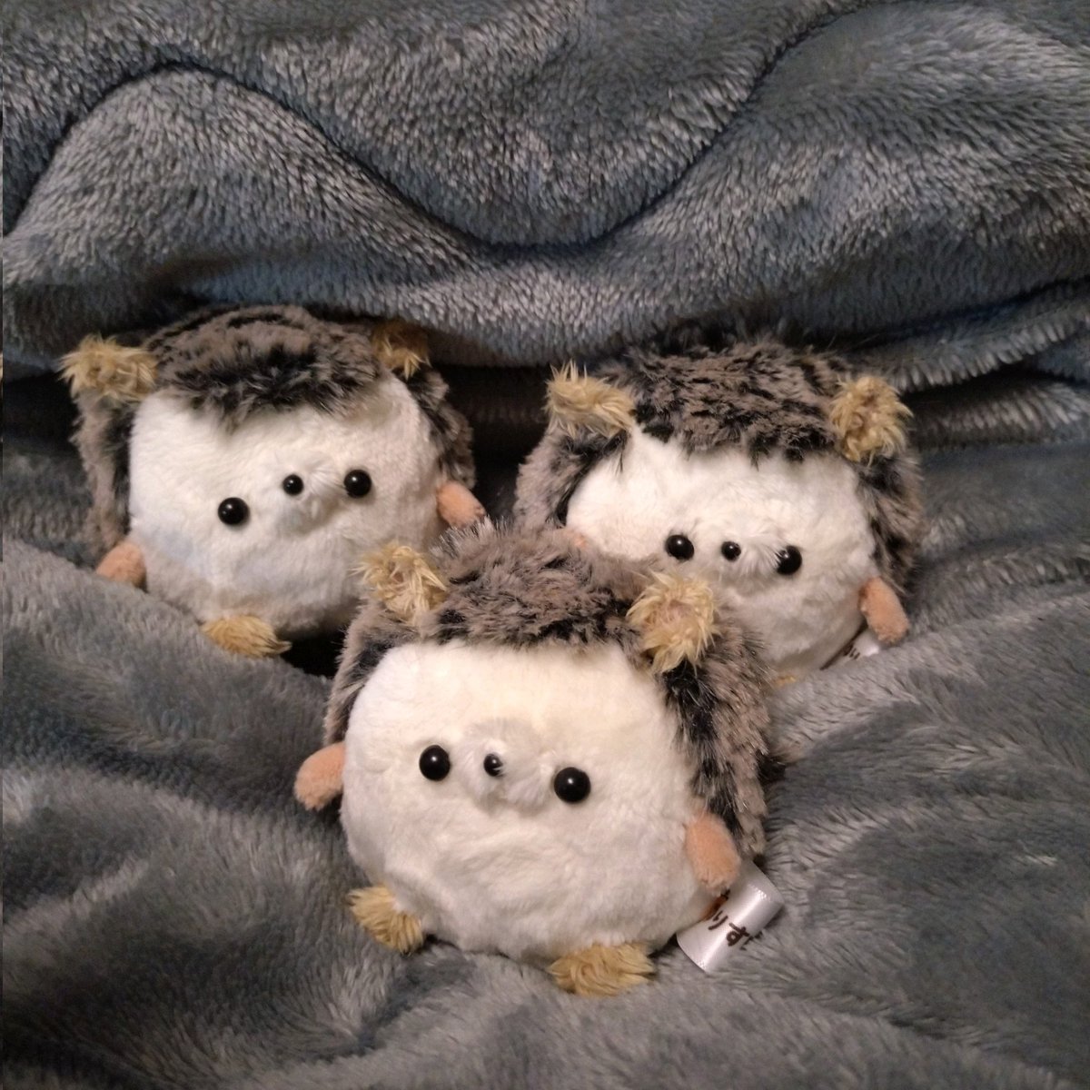 型紙から試行錯誤しバージョンアップしたはりねずみ達が無事に誕生