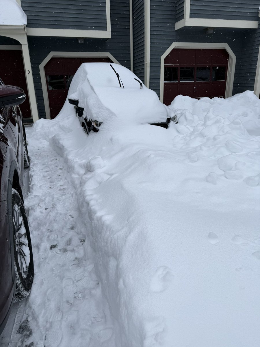 Brenda Maille tweet media