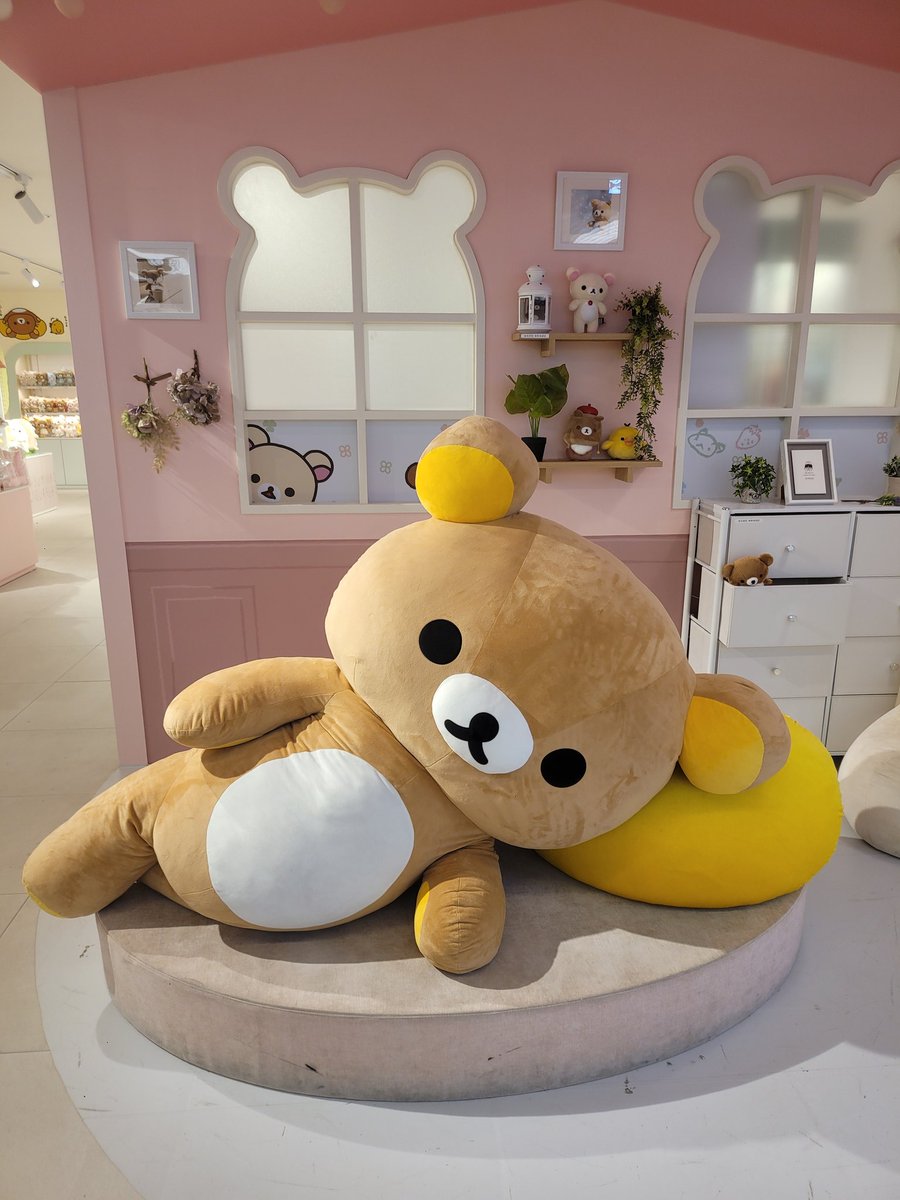 곰 뒤에 아기곰 빼꼼 귀여워...👀🤍🤎