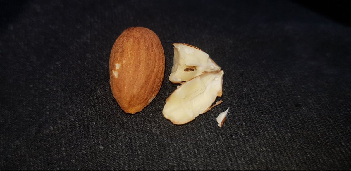 TBCXTC's tweet image. Found this little guy (worm/grub/caterpillar) living inside an almond. Make sure you check your nuts before you eat them, they have a strange taste if when theres a bug living inside.  @PioneerFoodsSA @PepsiCo