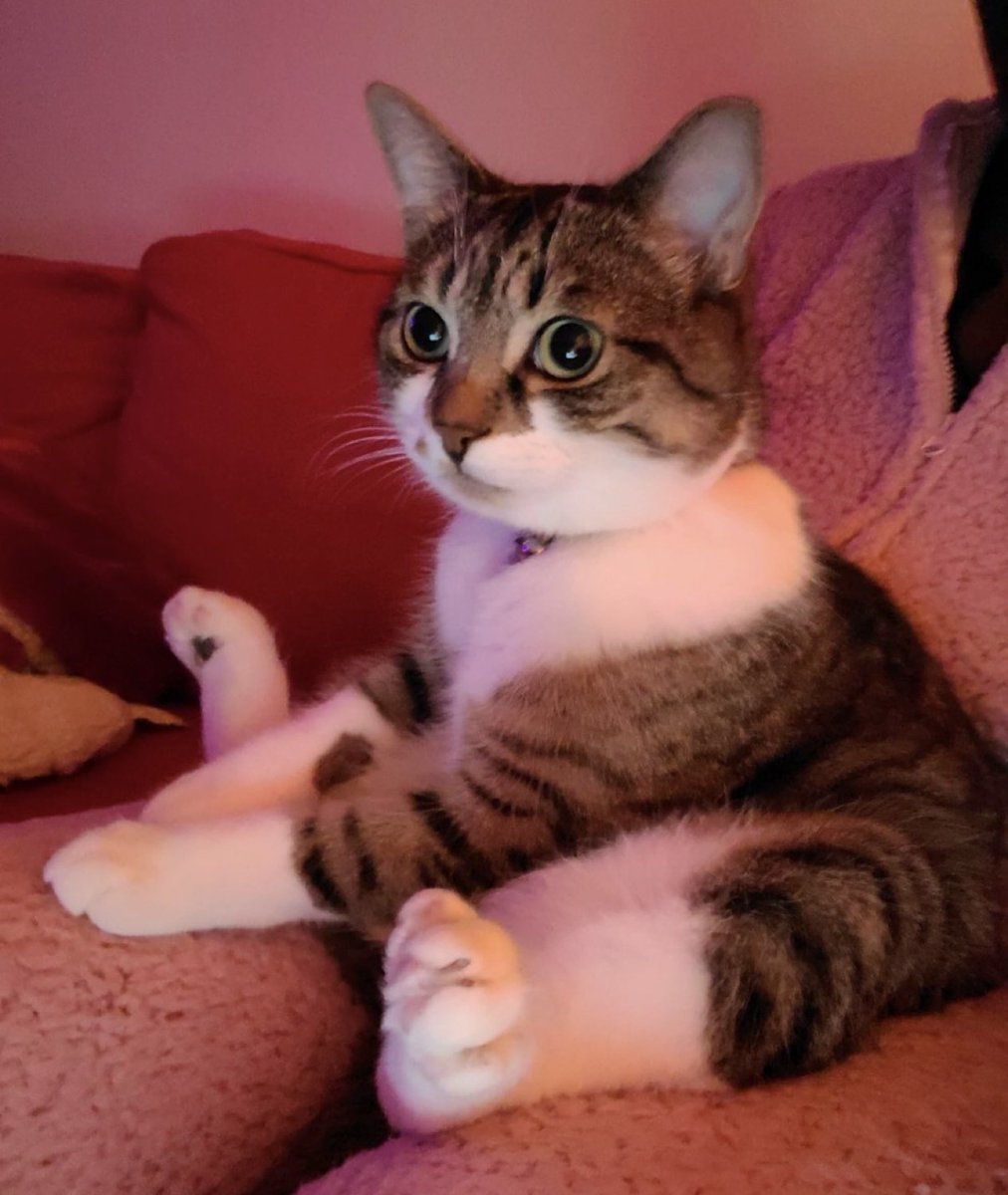 place where car shouldnt be (@carshouldnt) on Twitter photo 