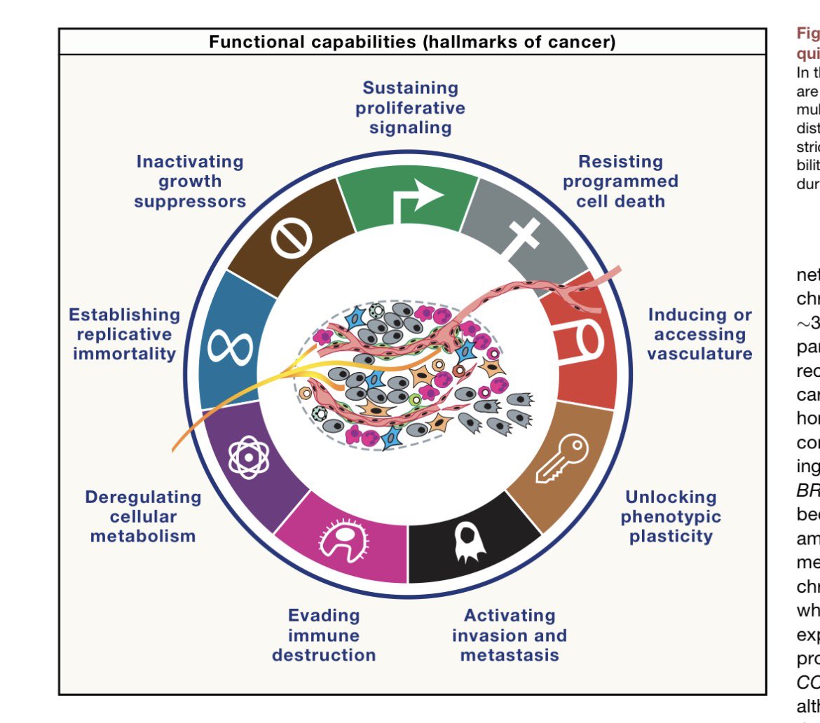 Erman Akkus tweet media