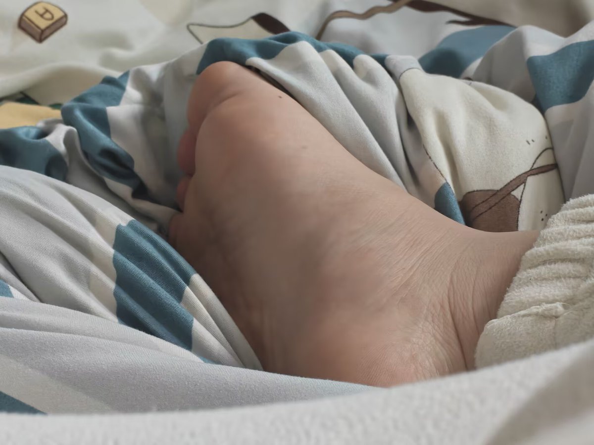 河大大 tweet media