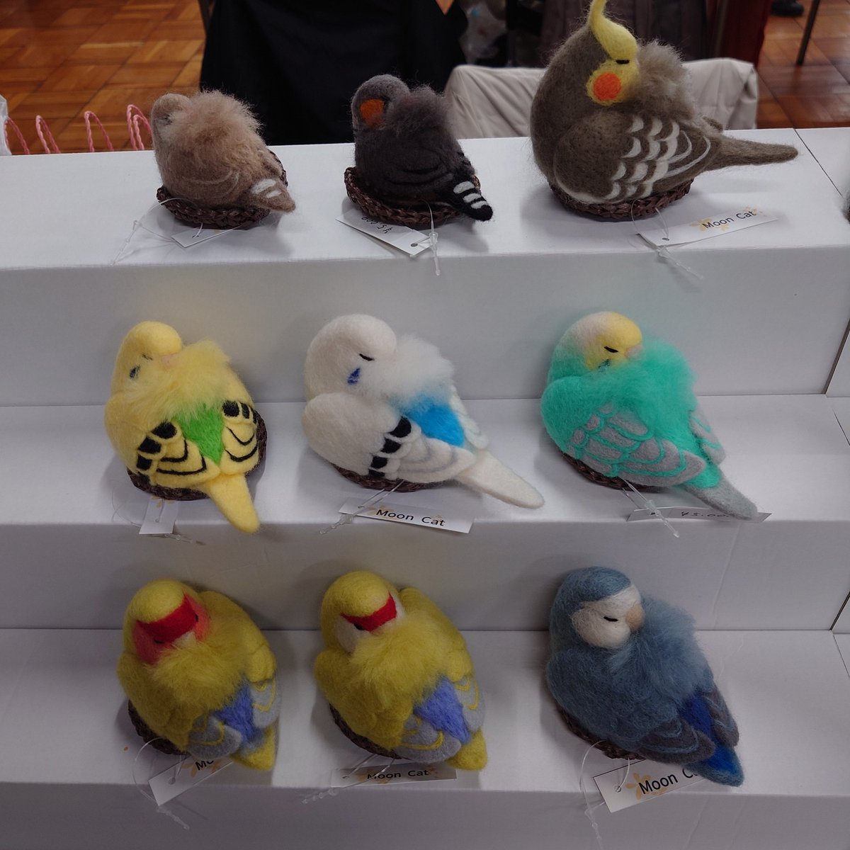 ただ今のお迎え待ちねむねむさん♥️
本日17時まででーす🎶
#鳥フェス浅草