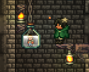 r/Terraria 🌳 tweet media