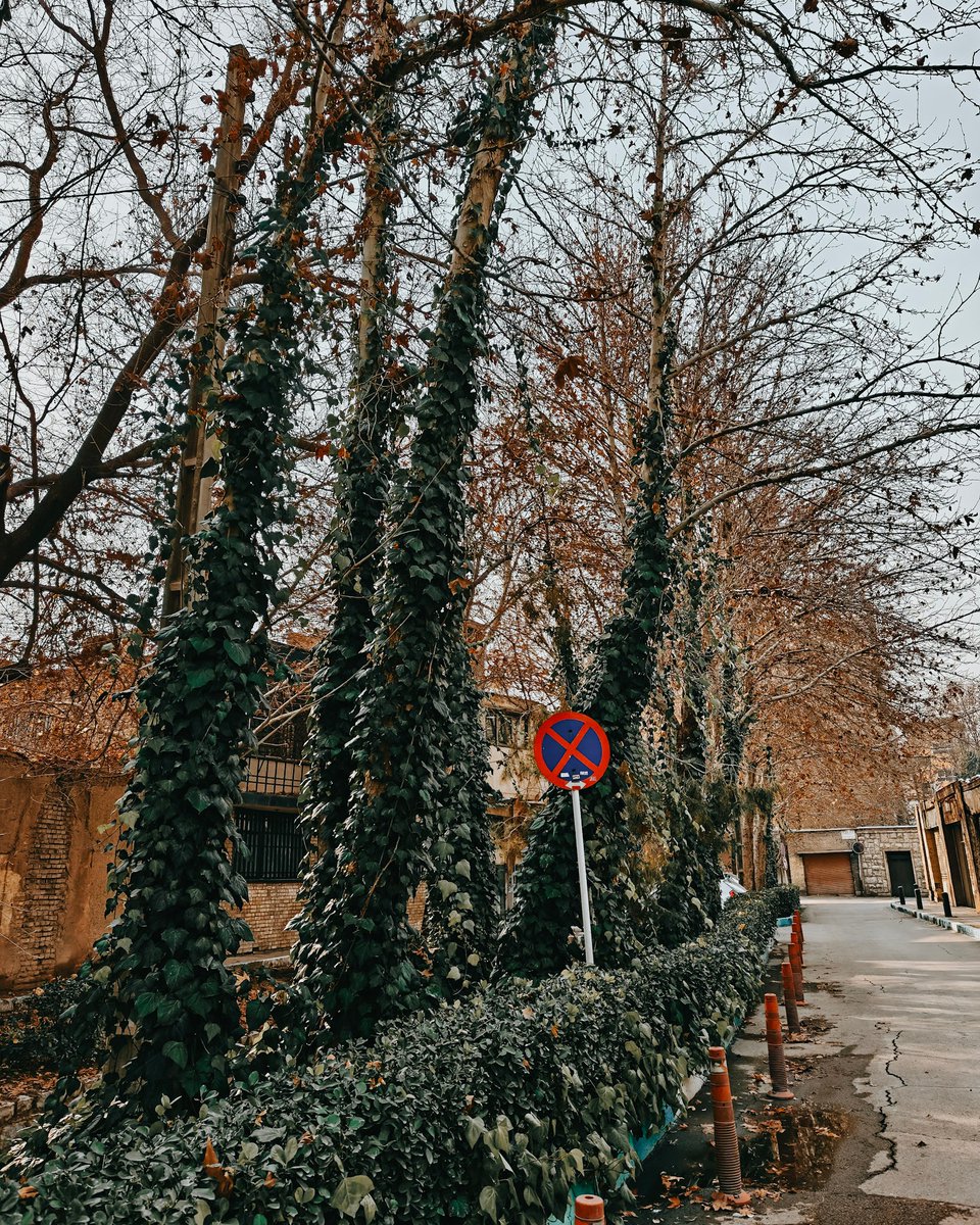 Iamhasannaqvi's tweet photo. #ShootYourPath #ShotOnSnapdragon #ShotOnOnePlus @Snapdragon @Snapdragon_IN @oneplus @OnePlus_IN https://t.co/MkuMgzibiT