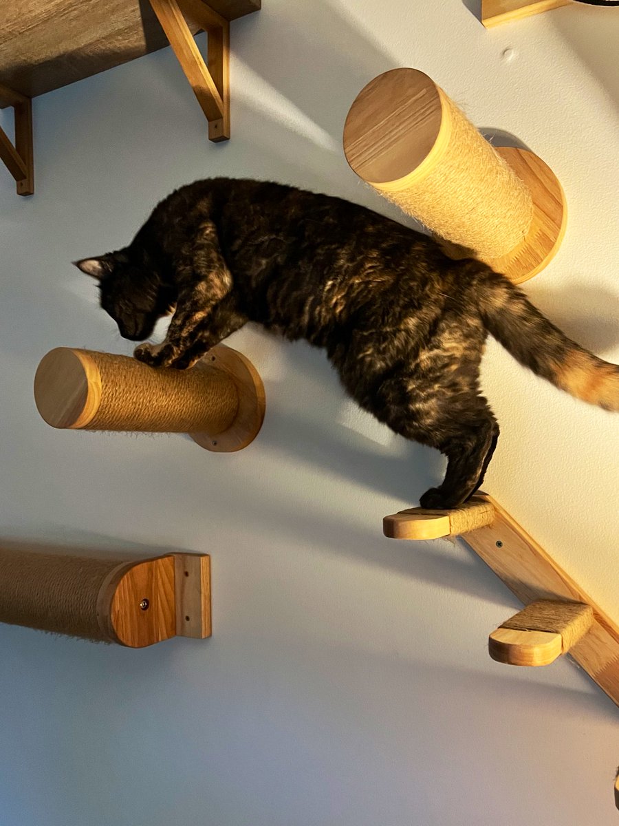 Dave Krantz tweet media