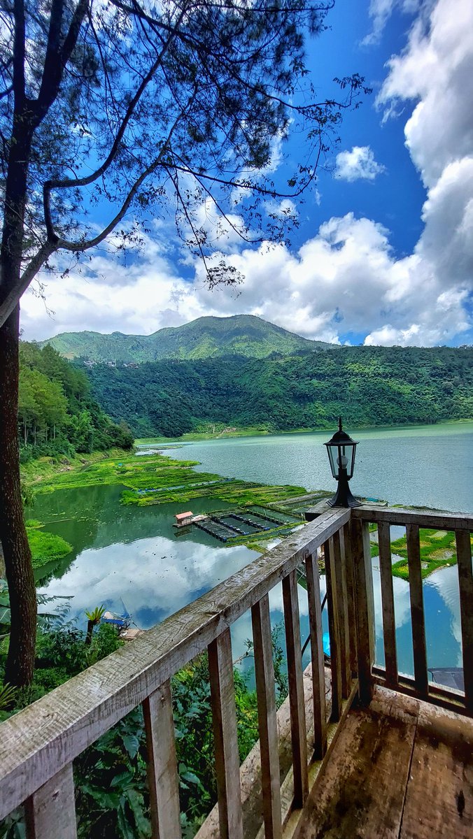 Not just a café, but a pause among the pines.