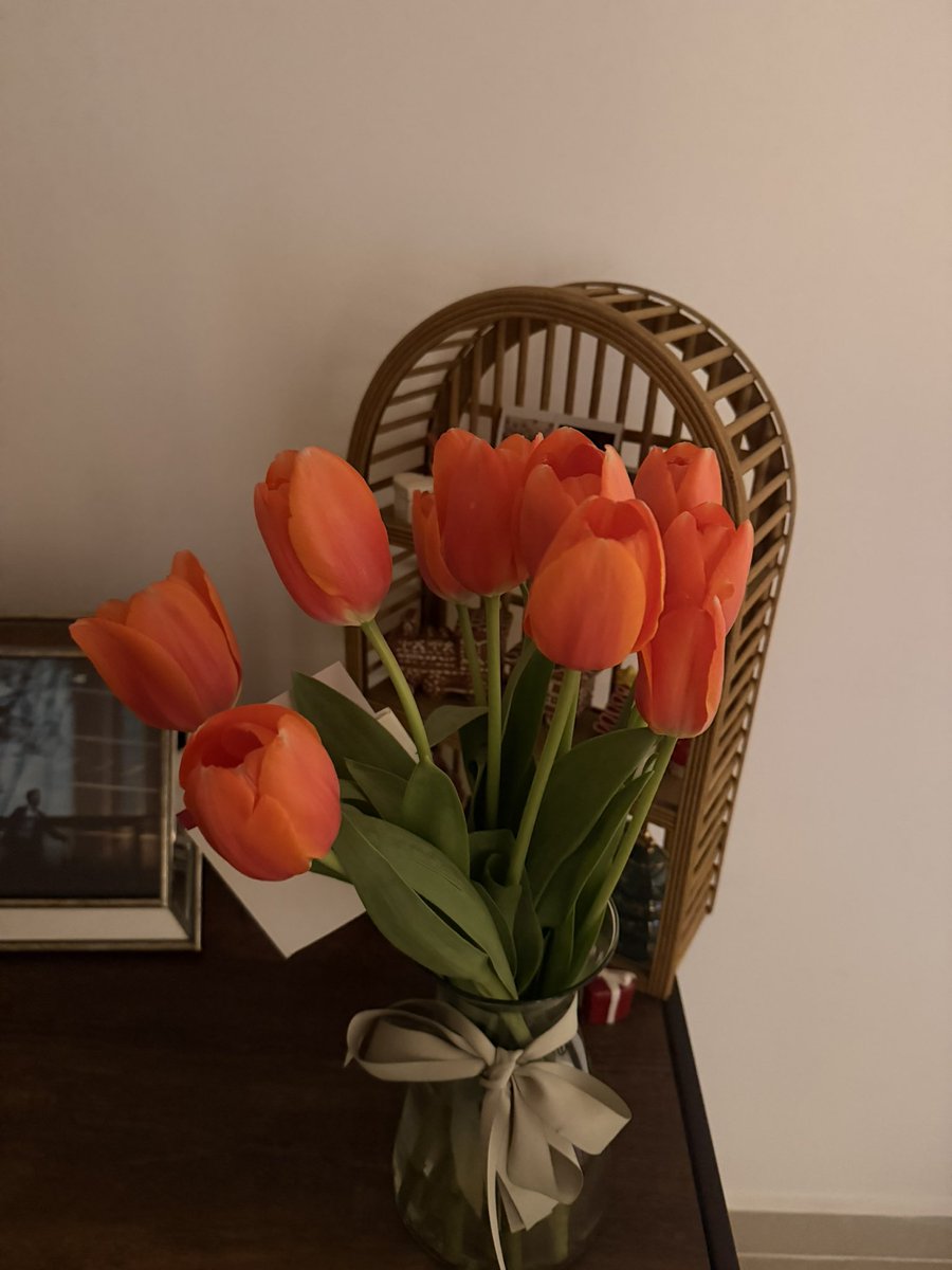 Sabías que los tulipanes se duermen en la noche