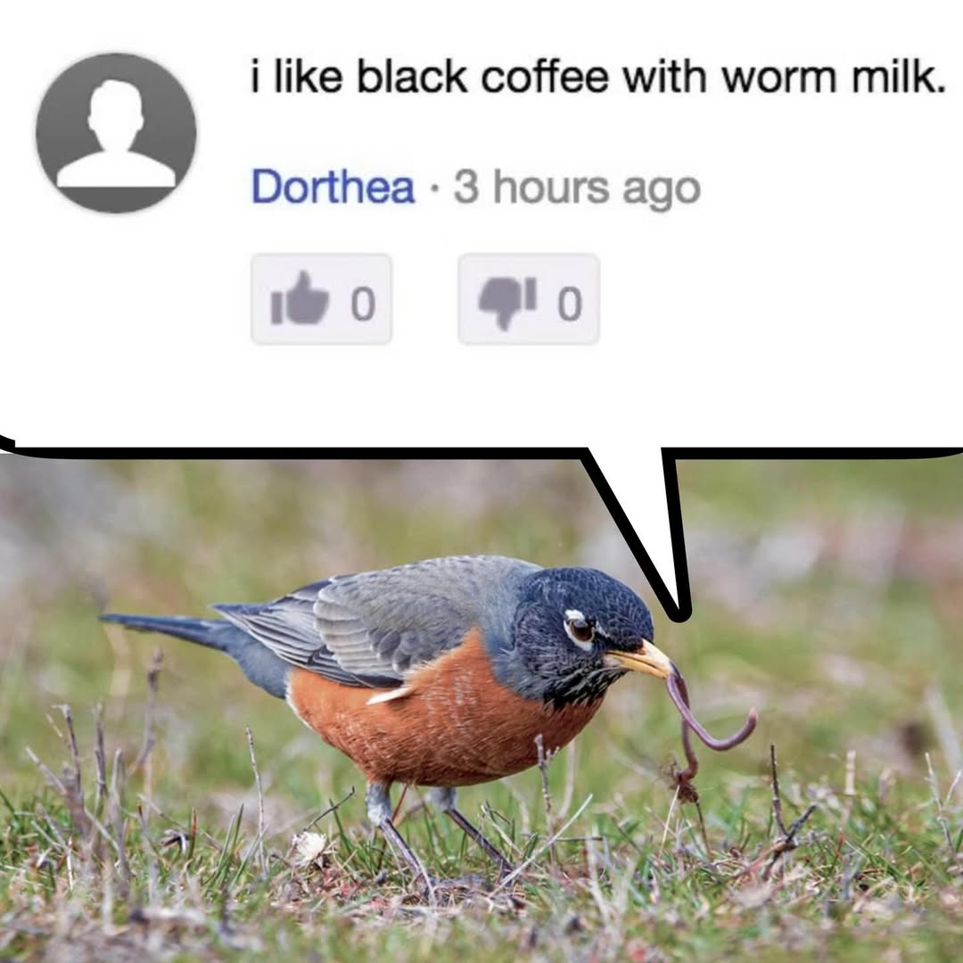 Sixrande's tweet image. Goodmorning early birds