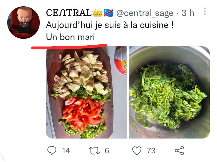 CHAUFFEUR Tout-Kin tweet media