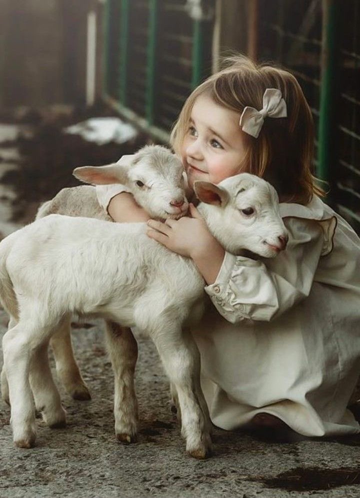 لمـن يترڪوُنْ فينـا شيئاً يشبہ السـلام
°صباحڪمْ سـ ؏ـادة°
ليست ڪلُ آلُنْـ ؏ ـم أشيـاء
هنالڪ قٌلُوُٻ نلتقيہا. فندرڪ
إن النـ ؏ــمـۃ   `إنسـ ـان` ..
 صباح الخير🌷🌸💜💫