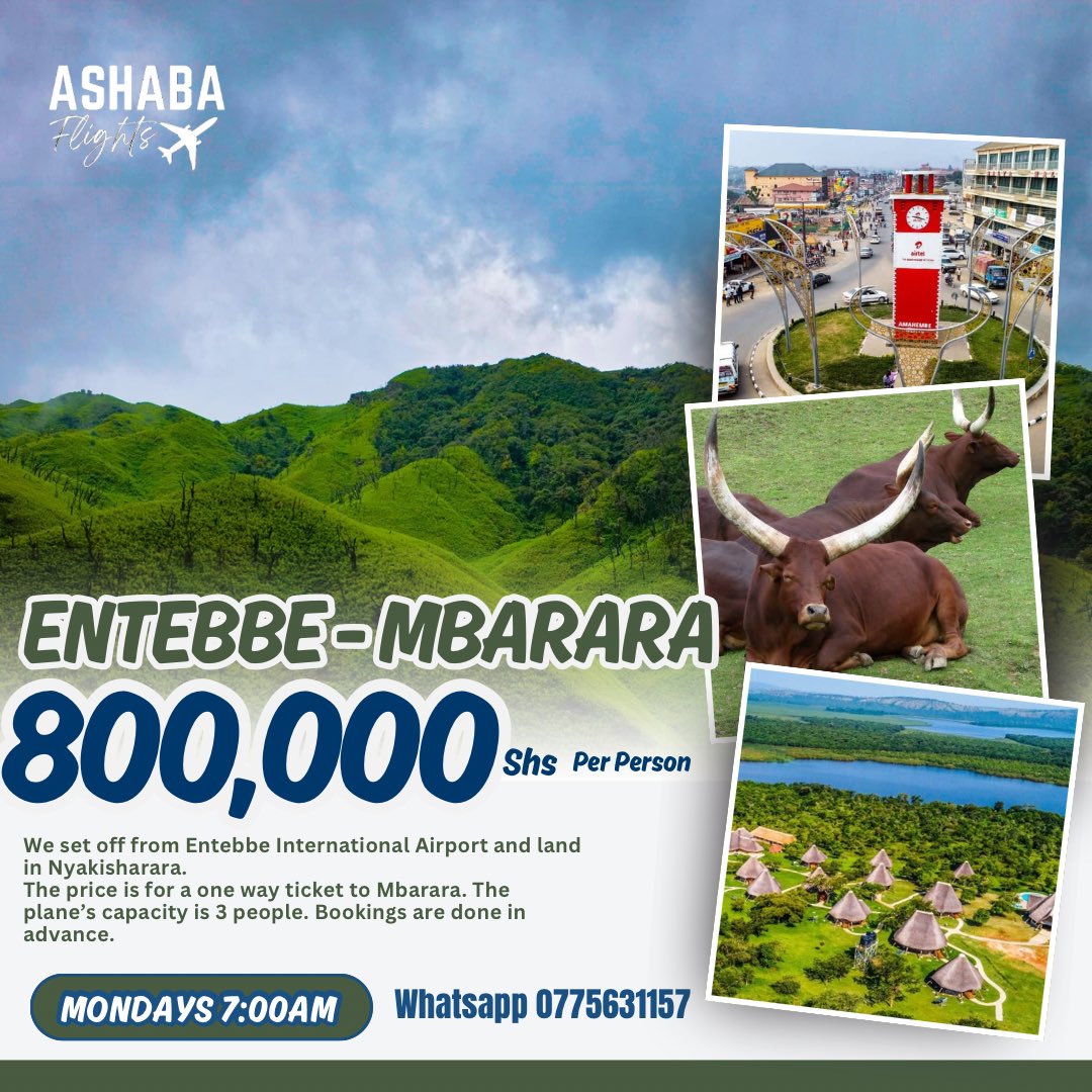 AshabaFaridah's tweet image. Mbarara here we come 🛩️🛩️🛩️🛩️🛩️

If you have questions don’t hesitate to ask!