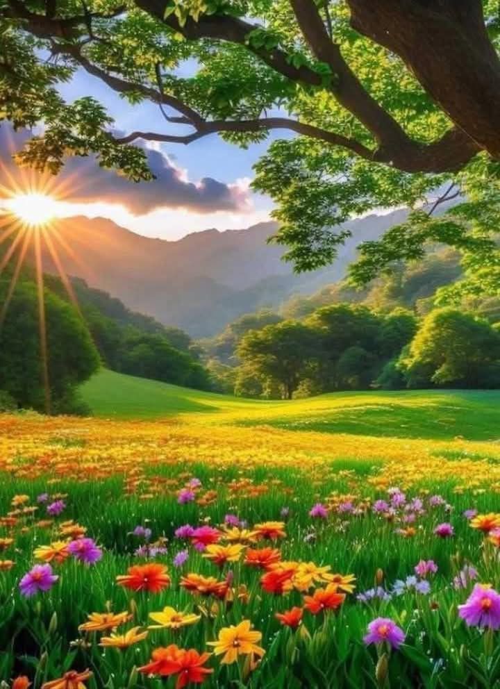 Paysages_lands's tweet image. Good Saturday ❤️💋🥰