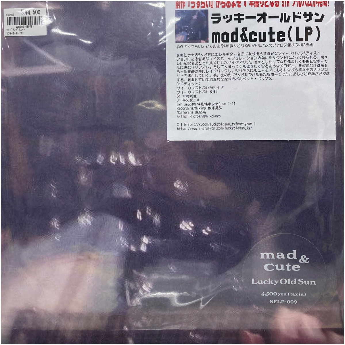 🎶当店推薦🎶】 ラッキーオールドサン/mad&cute LPが1枚のみ❕再入荷