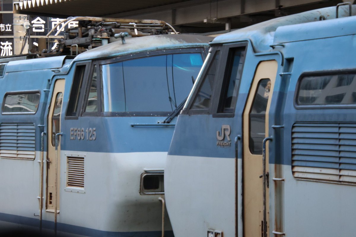 2026/01/31
8865レ EF66-130 ムドEF66-125
29日はJR東海385系の甲種で活躍したEF66-125号機
今日は130号機に引っ張られて稲沢から吹田へ
ダブルサメ