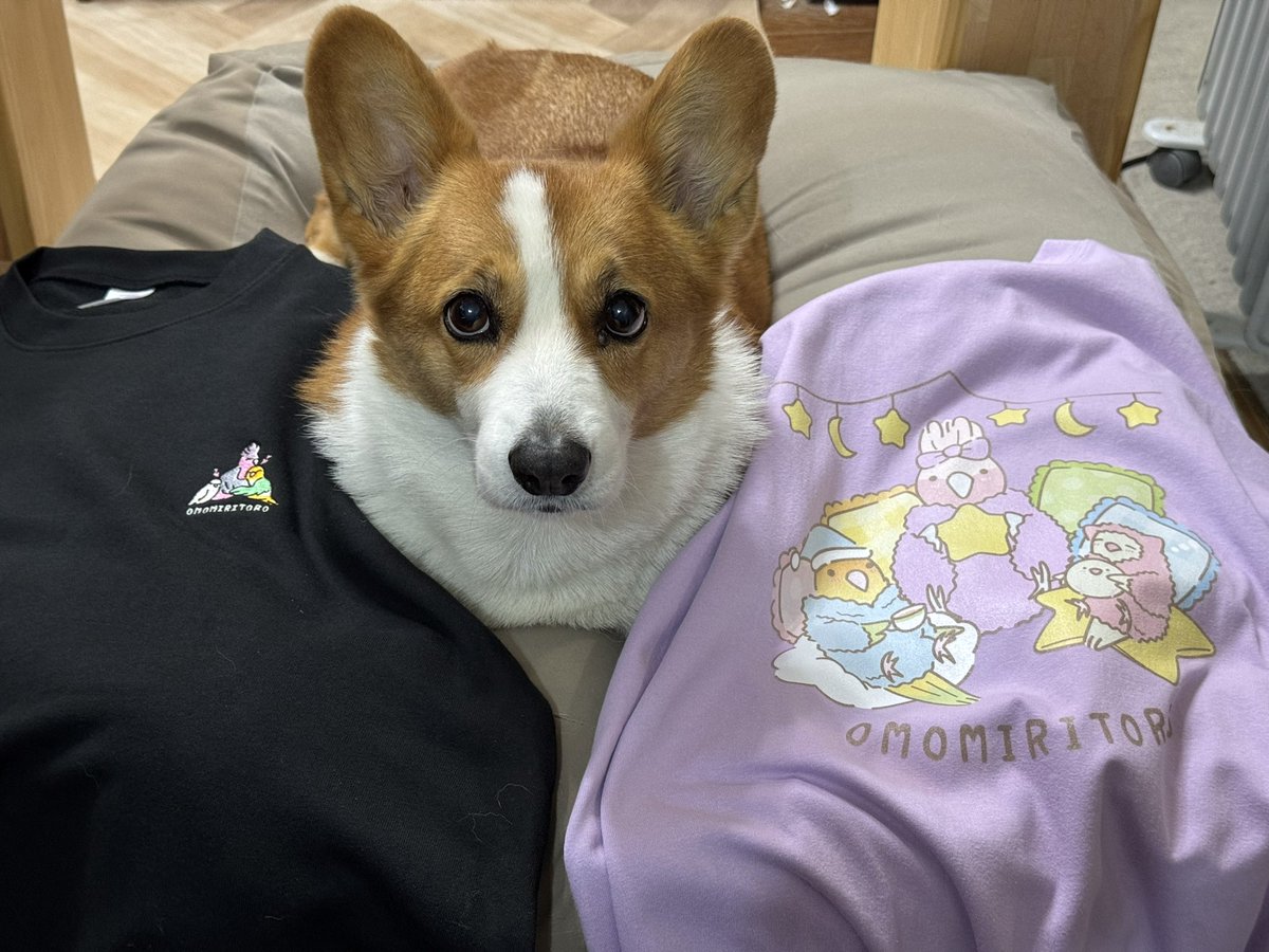 たいみん tweet media