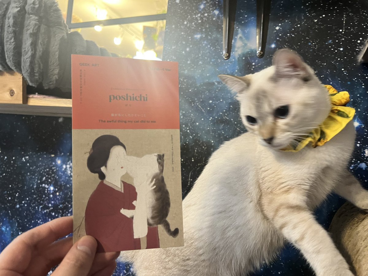 poshichi(ぽ七) (@legendhamster) / Posts / X