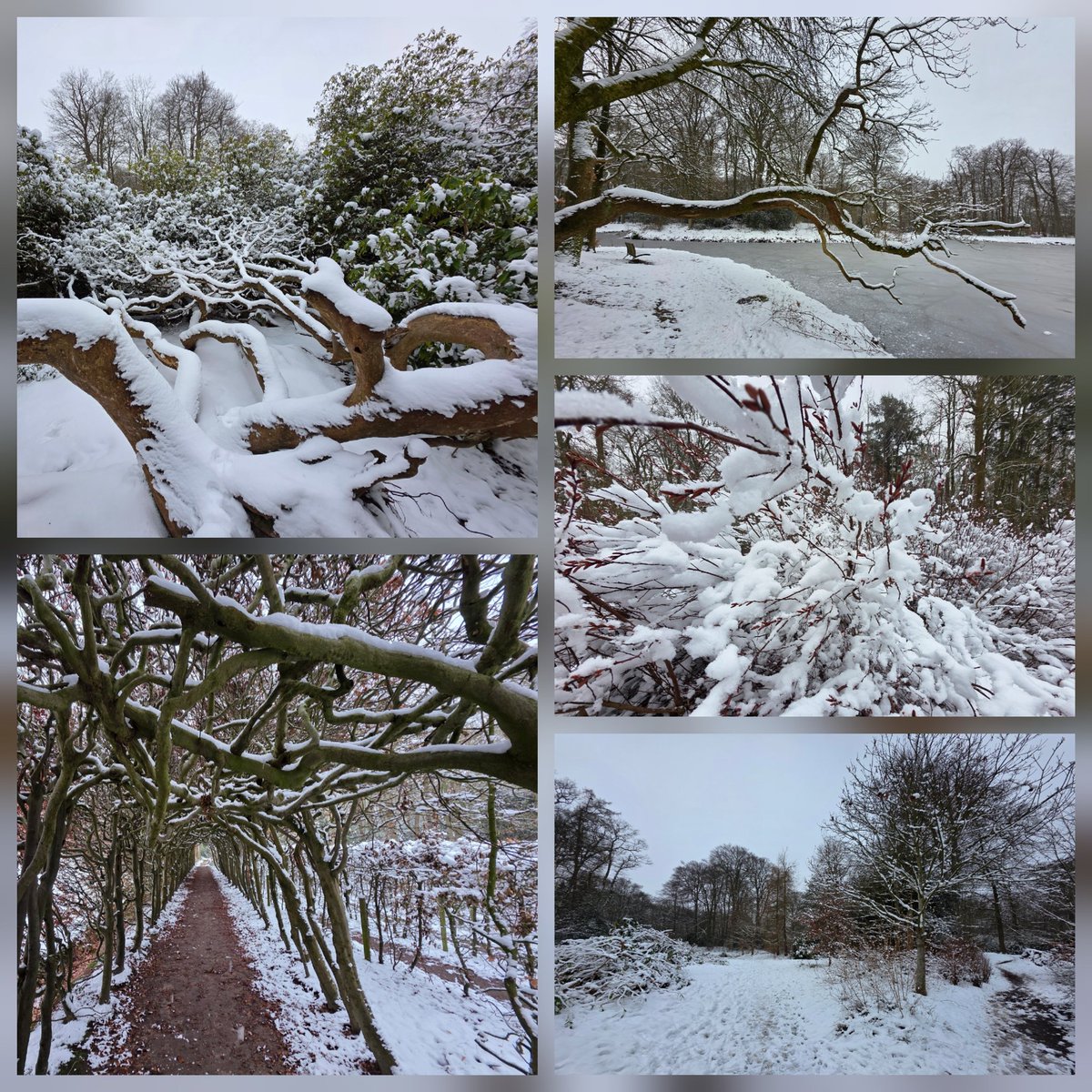 Sylvia Westerhuis tweet media