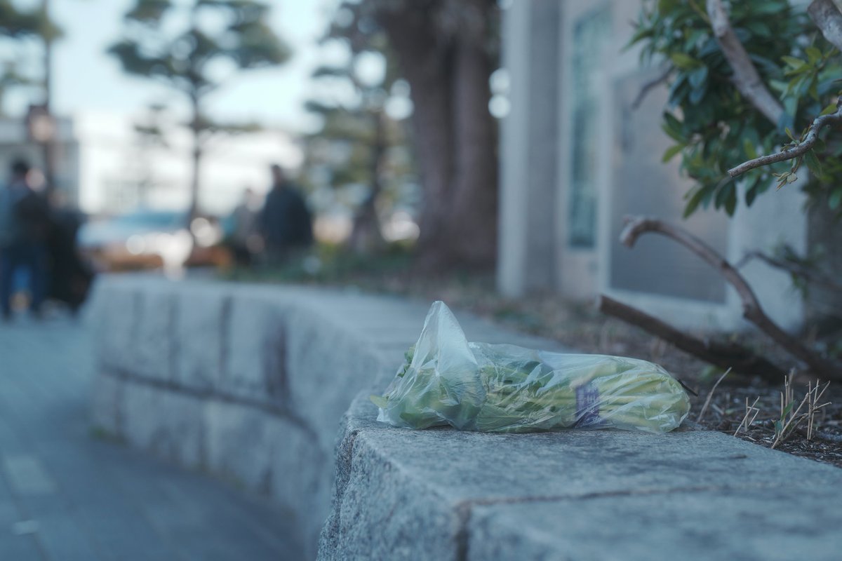stisaku's tweet photo. 道端にいた野良の野菜がお気に入り。
sony A7R5 FE50MMF1.2GM https://t.co/tjHXcsc4Ws