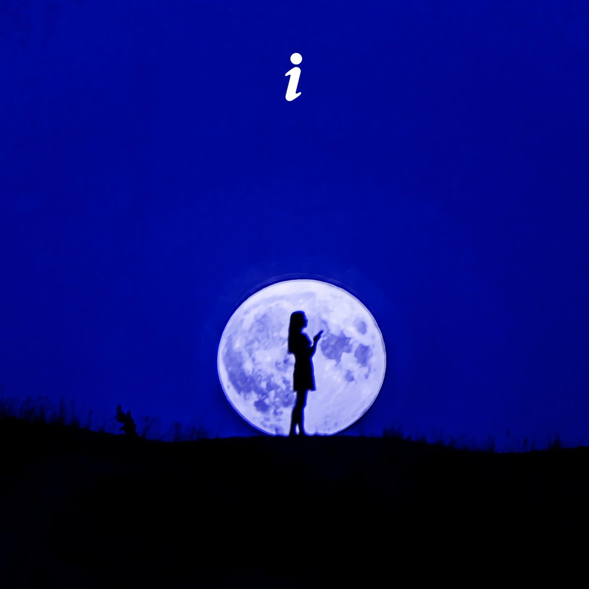 The moon is full

Listen.