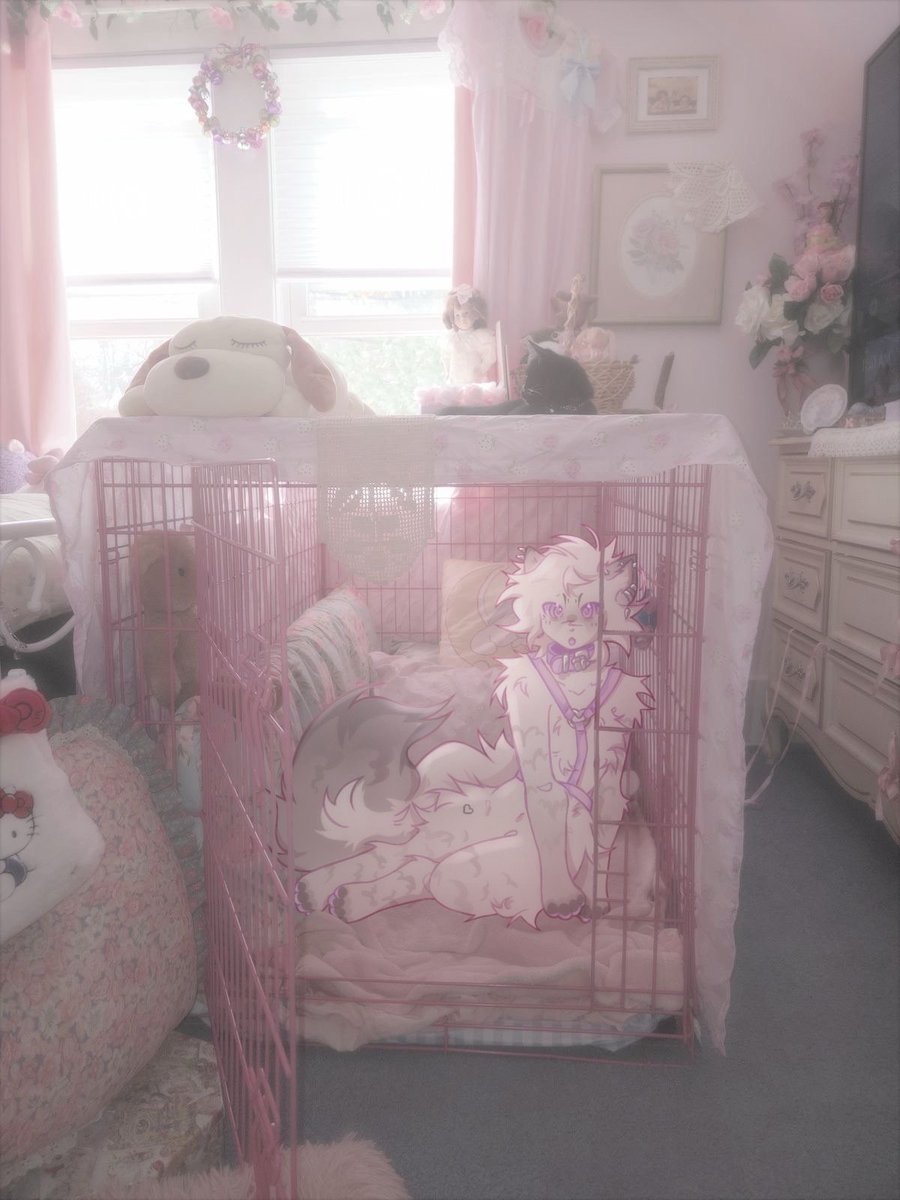 comfort and security