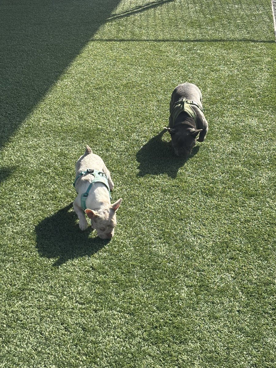 Gm let’s get it ☀️