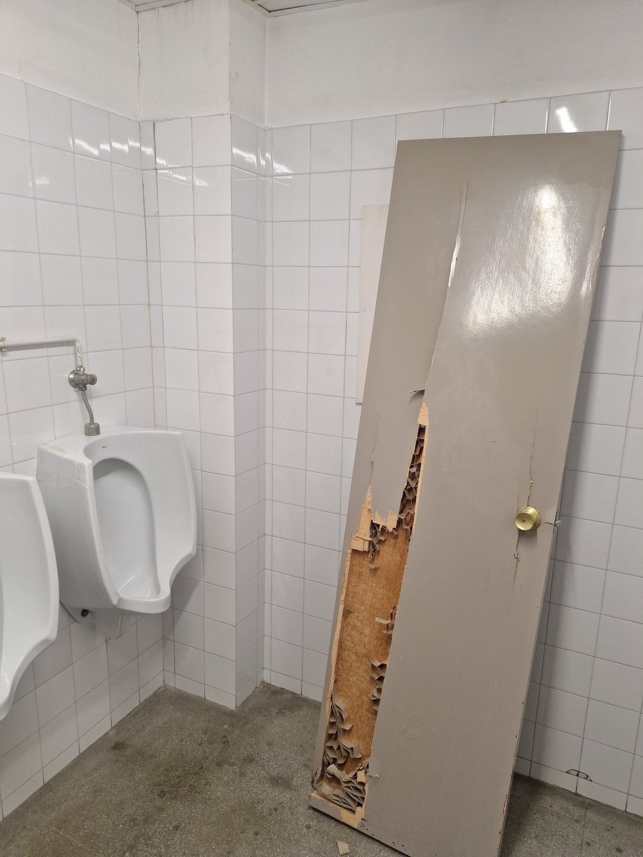 caarlos05_🦧| Historia secreta (AI) tweet media