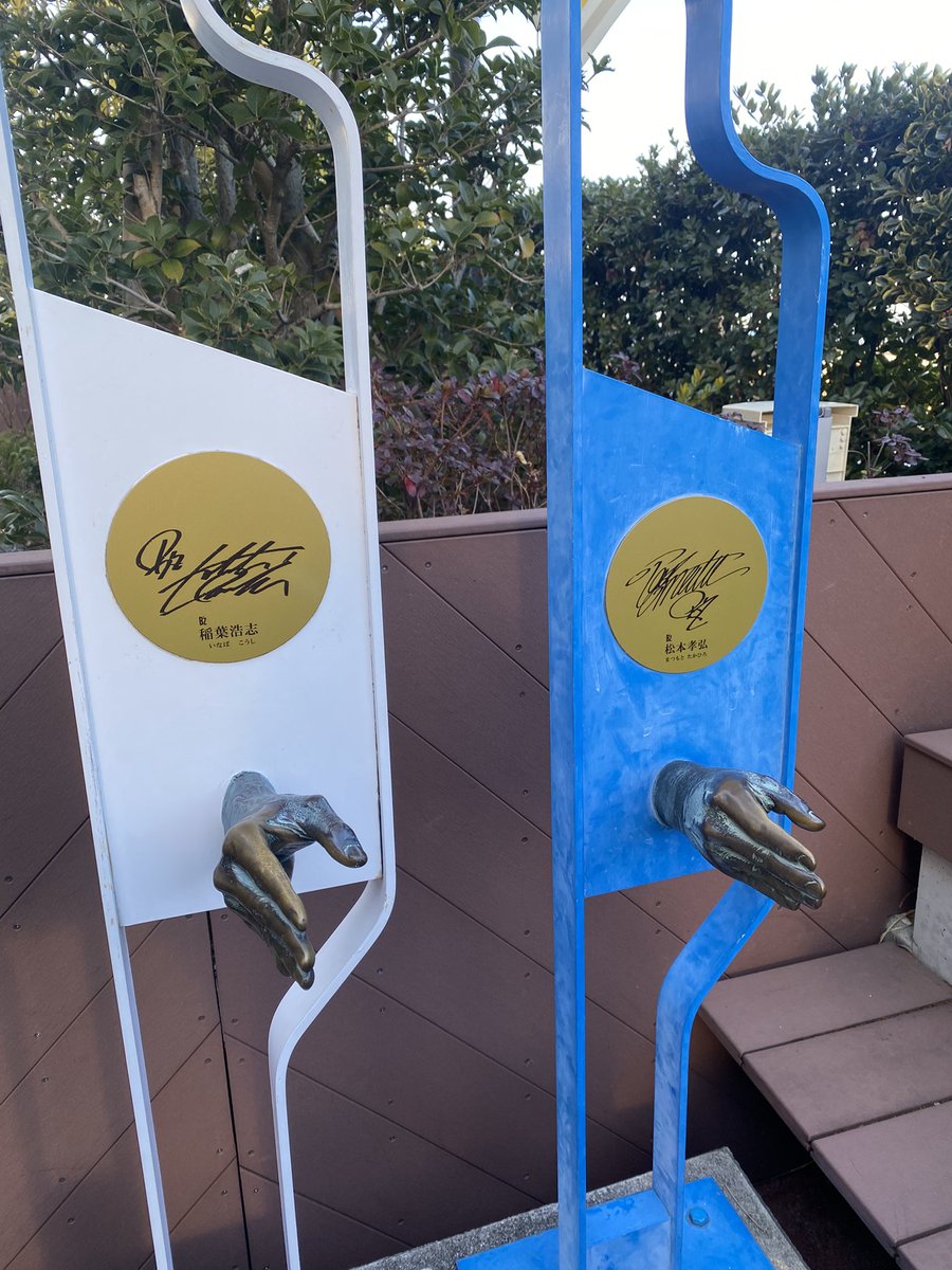 🐢𓂃⟡.·ぽぽまる ◡̈ tweet media