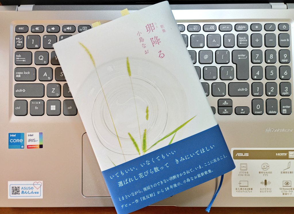 今日はCOCOON有志の小島なおさん『卵降る』読書会。
解釈が難しい歌もありますが、惹かれる歌というのはある。皆さんの解釈で読みが深まりました😌

産んでいない子を思うこと増えながらあかるいパンジー大きなくらやみ
その前に立てば身体を喪えり向日葵というポルノグラフィ/小島なお
#tanka #短歌