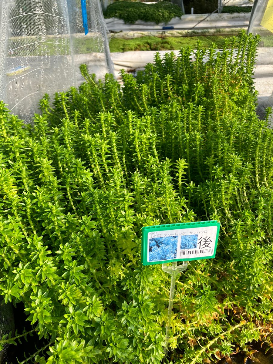 4.04 (@IV404404) / Posts / X