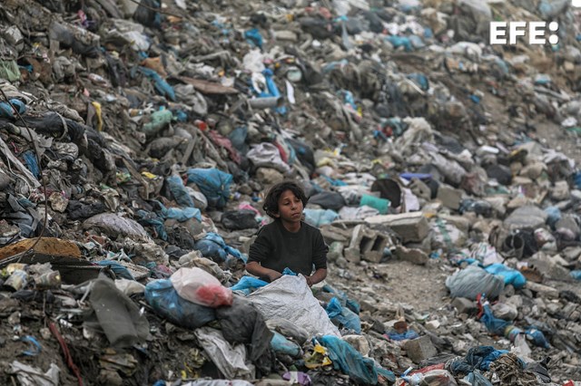 Israel mata a 12 gazatíes, incluidos niños, en ataques en el norte y sur de Gaza.

efe.com/mundo/israel-g…