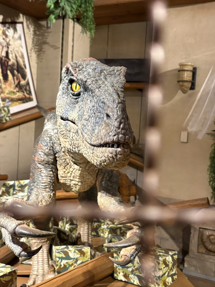 破茶滅茶楽しかった、ジョーズにも乗った…… 