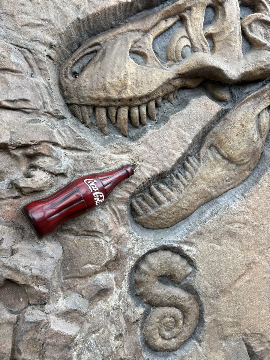 破茶滅茶楽しかった、ジョーズにも乗った…… 