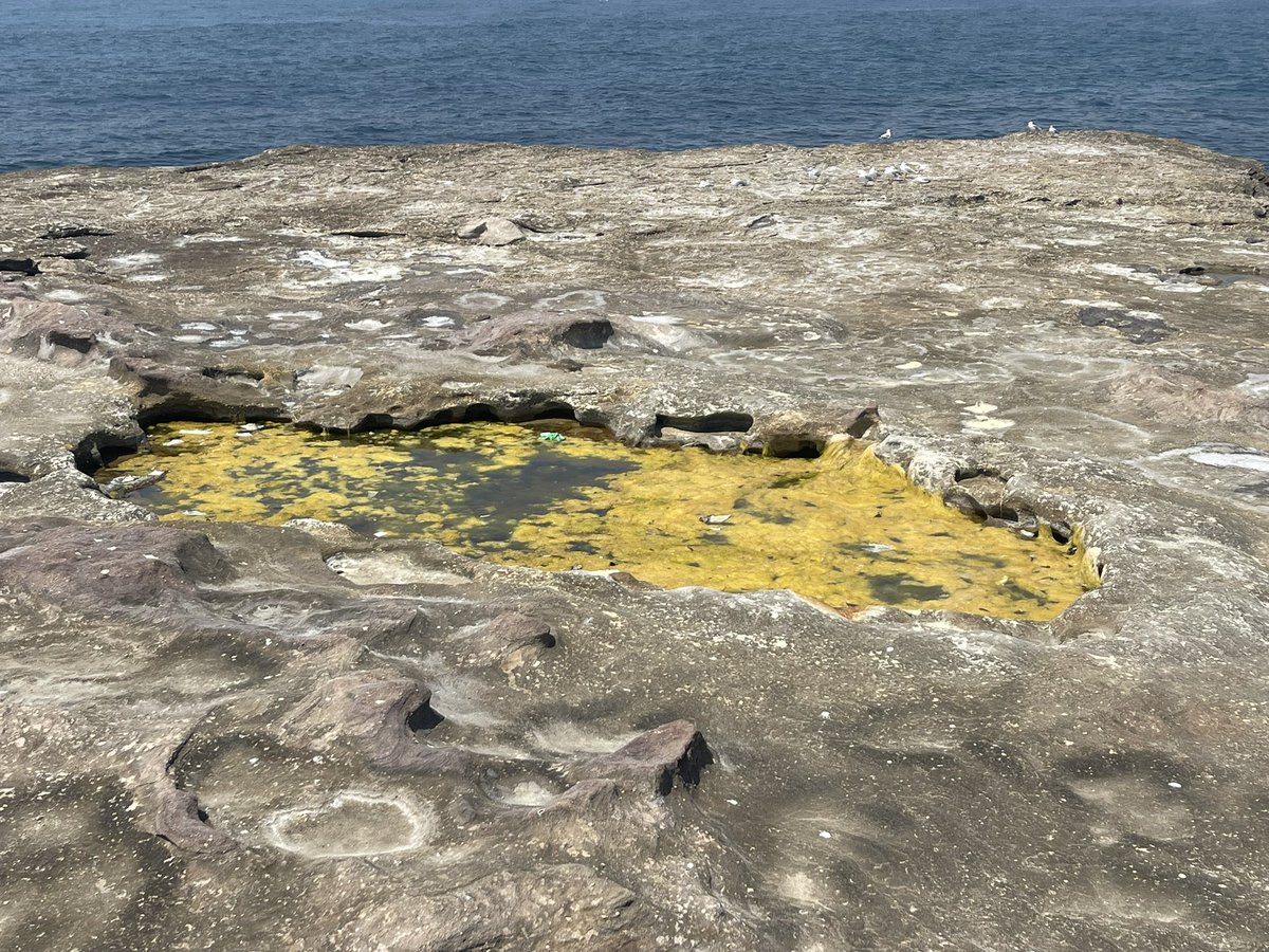 grainattainer's tweet image. abrasive action of water and sediment swirls make pretty formations highkey